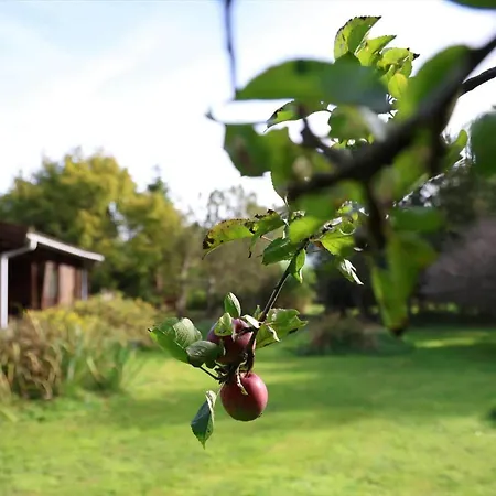 13386-1-hojby-dragsholmvej-2 * Højby