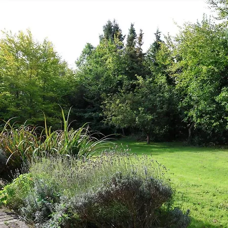 13386-1-hojby-dragsholmvej-2 * Højby